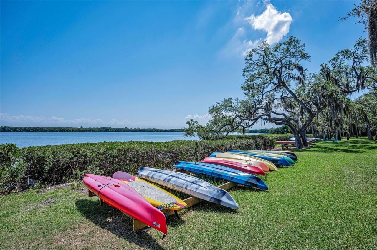 1111 N Bayshore Boulevard, Unit E3, Clearwater, FL 33759 Photo