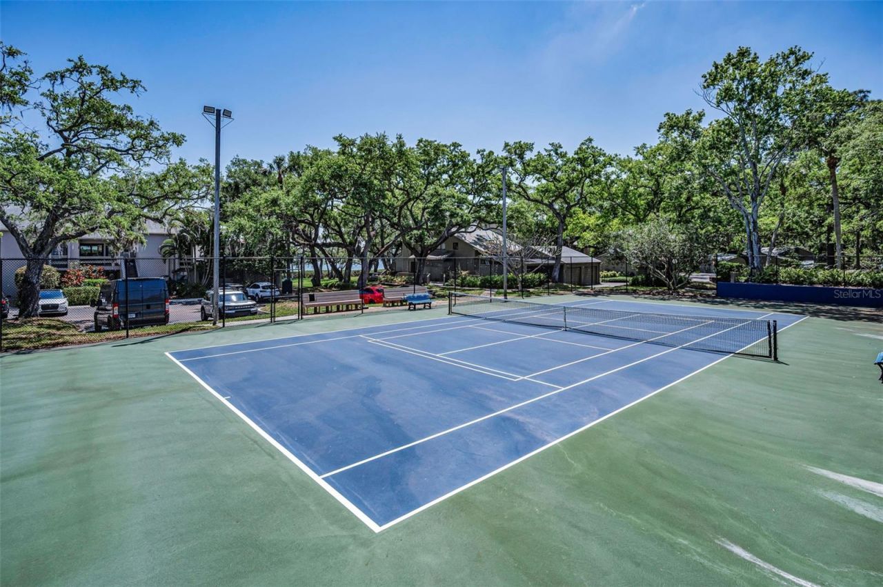 1111 N Bayshore Boulevard, Unit E3, Clearwater, FL 33759 Photo