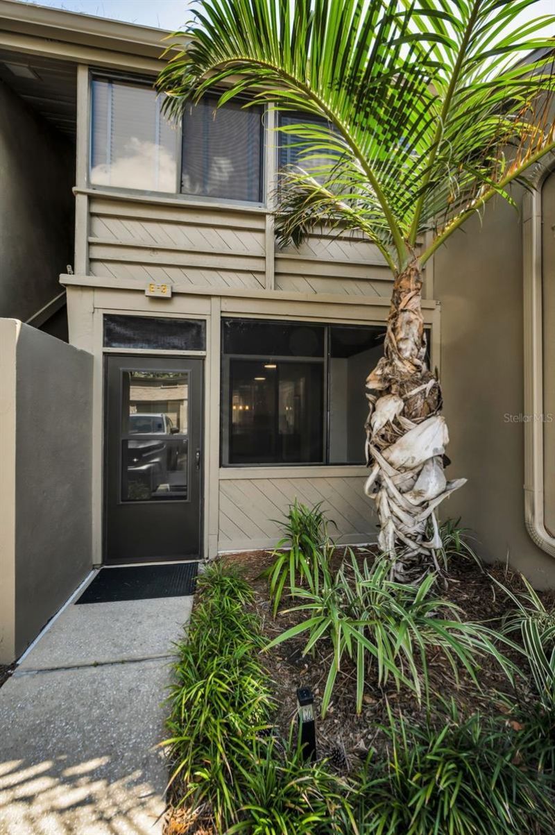 1111 N Bayshore Boulevard, Unit E3, Clearwater, FL 33759 Photo