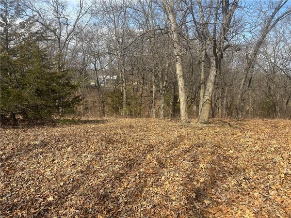 Lot 3109 Lake Viking Terrace, Altamont, MO 64620