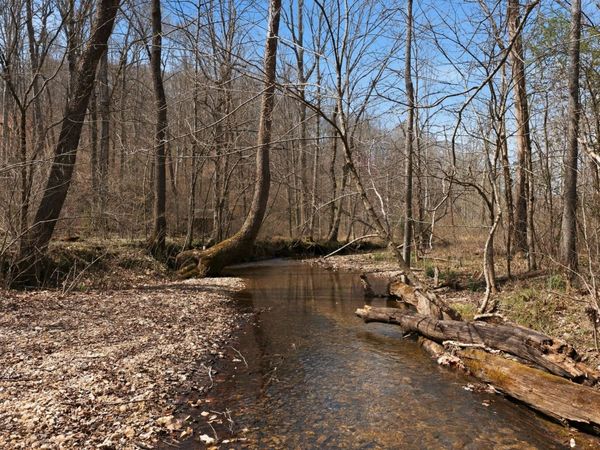 0 Cave Branch Road, Dickson, TN 37055