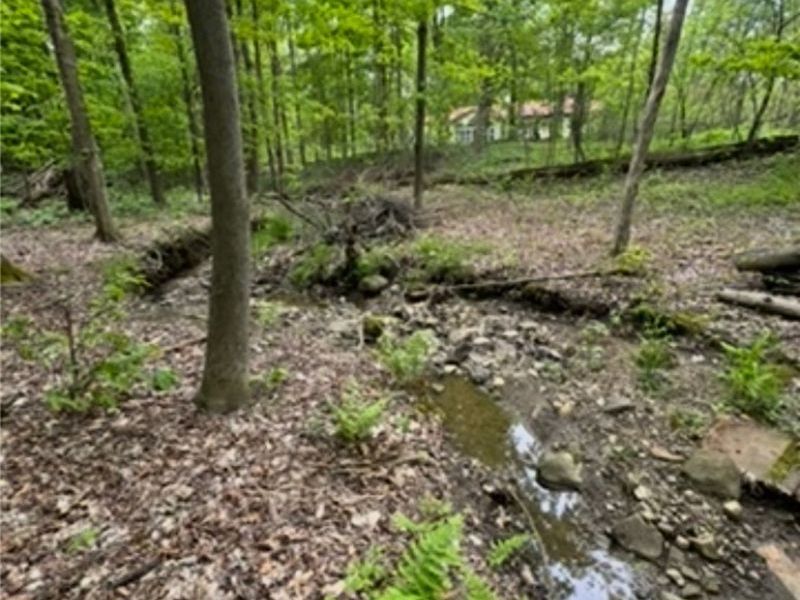 12684 Taylor Wells Road, Chardon, OH 44024 Photo 19