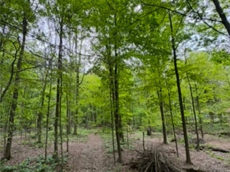 12684 Taylor Wells Road, Chardon, OH 44024 Photo 20