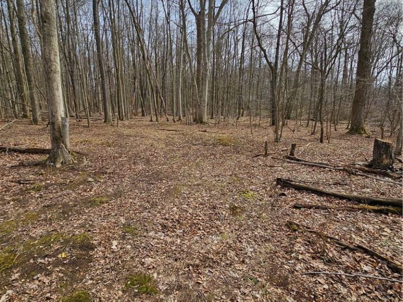 12684 Taylor Wells Road, Chardon, OH 44024 Photo 36