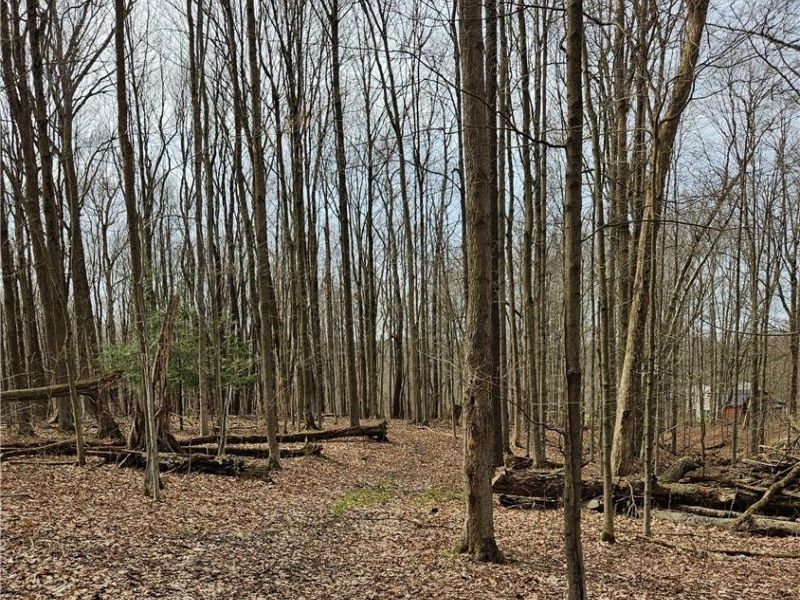 12684 Taylor Wells Road, Chardon, OH 44024 Photo 37