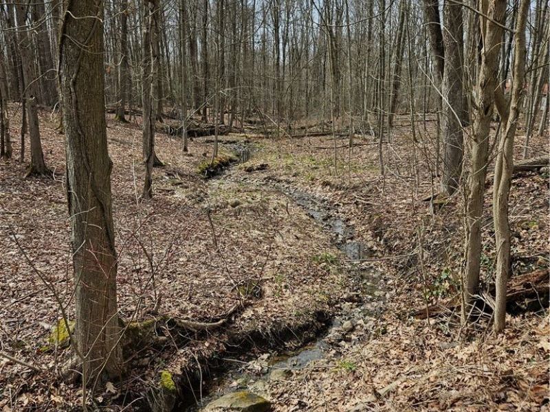 12684 Taylor Wells Road, Chardon, OH 44024 Photo 39