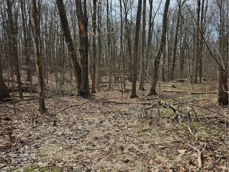 12684 Taylor Wells Road, Chardon, OH 44024 Photo 40