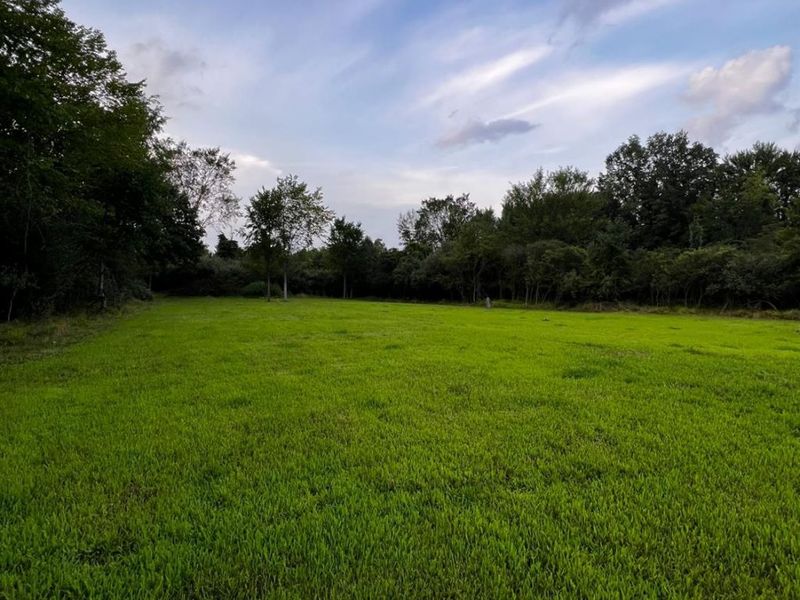 161 Twin Bay Trail, Willard, OH 44890 Photo 3