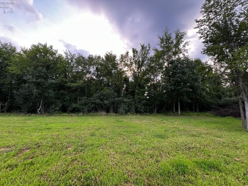 161 Twin Bay Trail, Willard, OH 44890 Photo 5