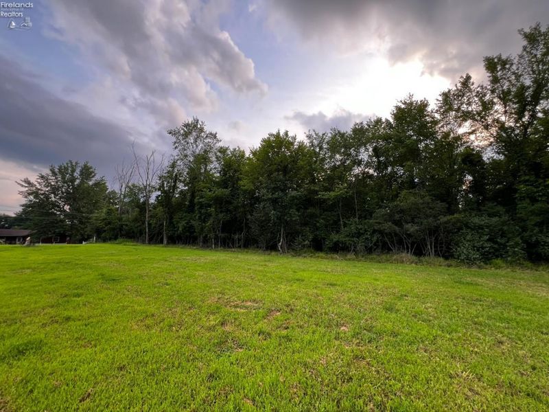 161 Twin Bay Trail, Willard, OH 44890 Photo 6