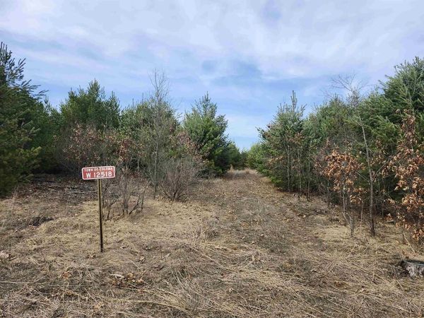 00 CZECH AVENUE, Coloma, WI 54930