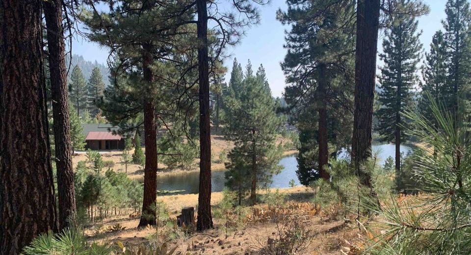 300 Blacktail Ridge, Portola, CA 96122 Photo