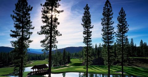 300 Blacktail Ridge, Portola, CA 96122 Photo