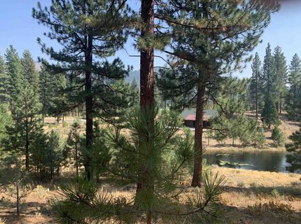 300 Blacktail Ridge, Portola, CA 96122 Photo