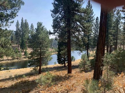 300 Blacktail Ridge, Portola, CA 96122 Photo