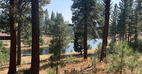 300 Blacktail Ridge, Portola, CA 96122 Photo