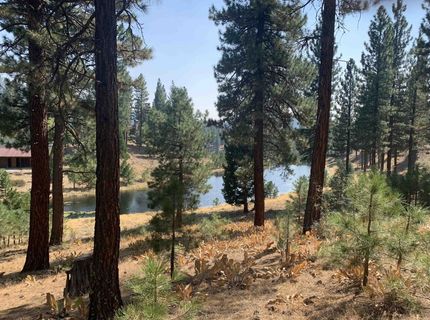 300 Blacktail Ridge, Portola, CA 96122 Photo