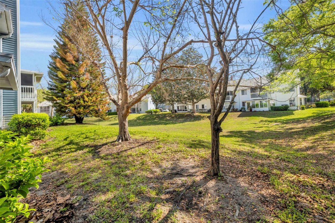 2427 Tack Room Lane , Unit 8, Orlando, FL 32812 Photo