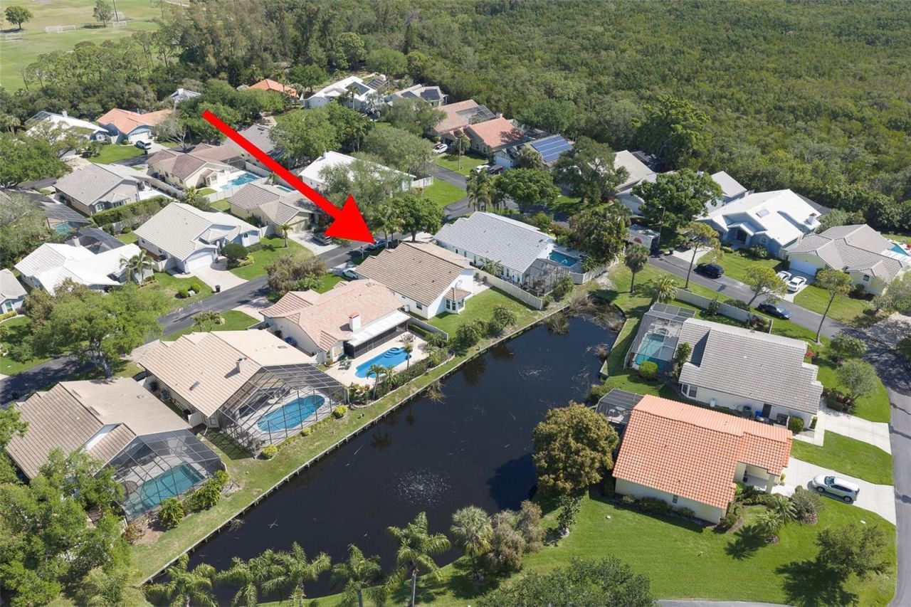 750 White Sand Drive Ne, Saint Petersburg, FL 33703 Photo