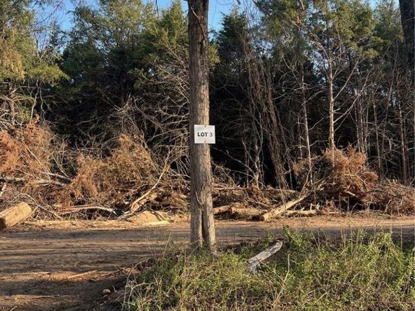 TBD Hammerschmidt Road , Lead Hill, AR 72644