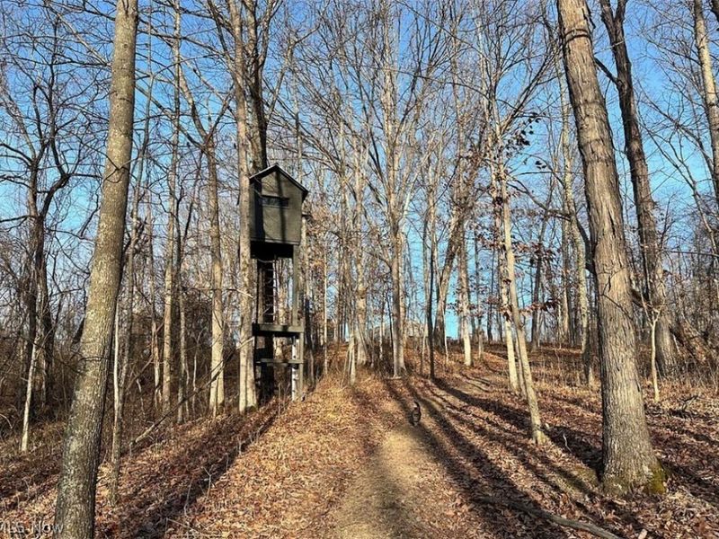 19129 Felton Road, Stewart, OH 45778 Photo 12