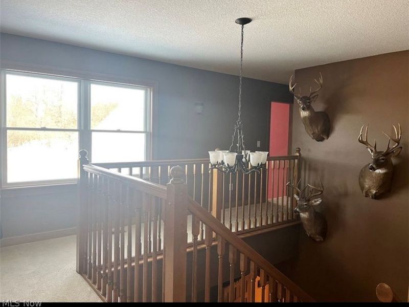 19129 Felton Road, Stewart, OH 45778 Photo 24