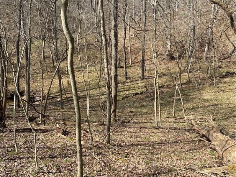 19129 Felton Road, Stewart, OH 45778 Photo 37