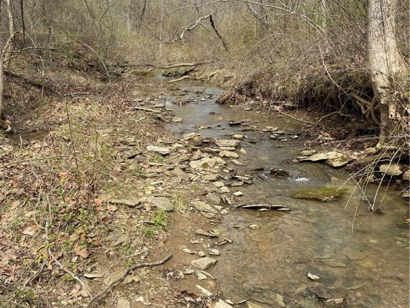 19129 Felton Road, Stewart, OH 45778 Photo 39