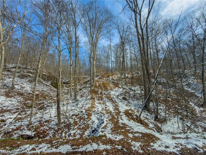 0 Twp Rd 366, Marietta, OH 45773 Photo 14