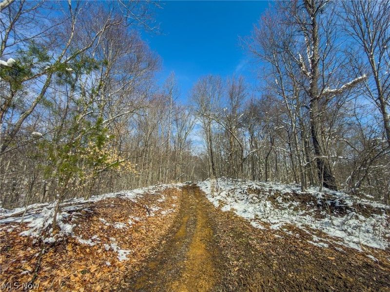 0 Twp Rd 366, Marietta, OH 45773 Photo 18