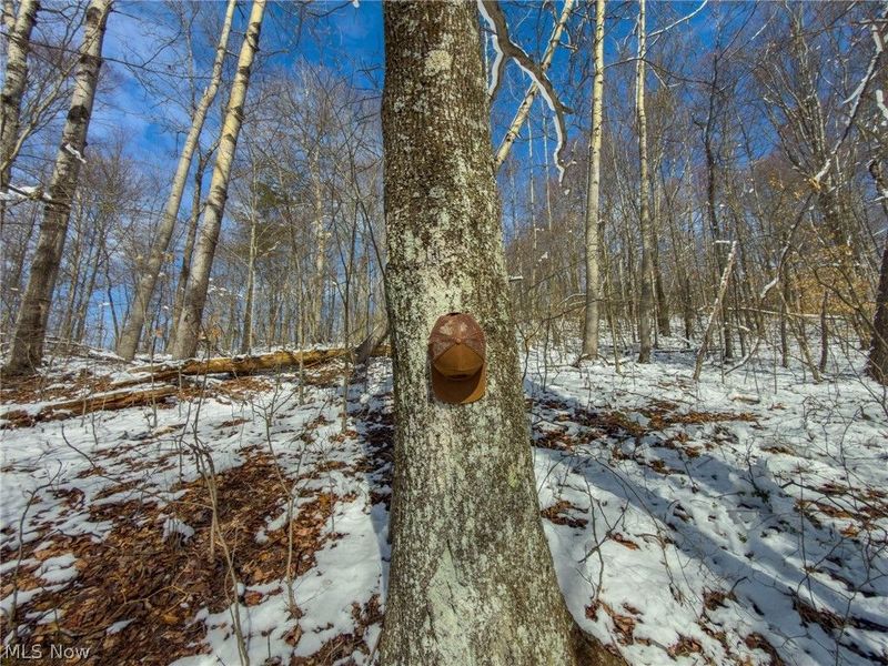 0 Twp Rd 366, Marietta, OH 45773 Photo 19