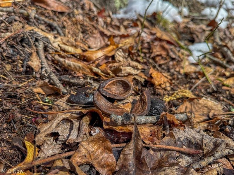 0 Twp Rd 366, Marietta, OH 45773 Photo 20