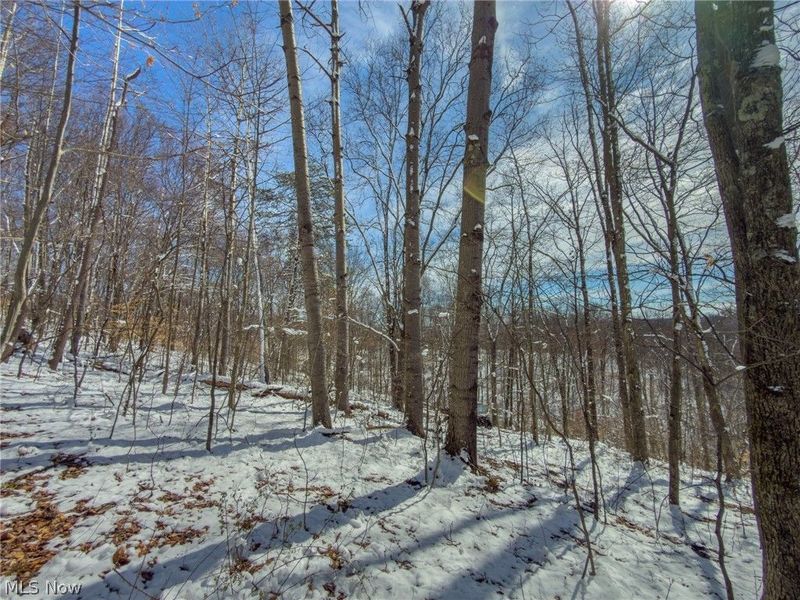 0 Twp Rd 366, Marietta, OH 45773 Photo 21