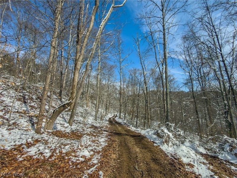 0 Twp Rd 366, Marietta, OH 45773 Photo 22