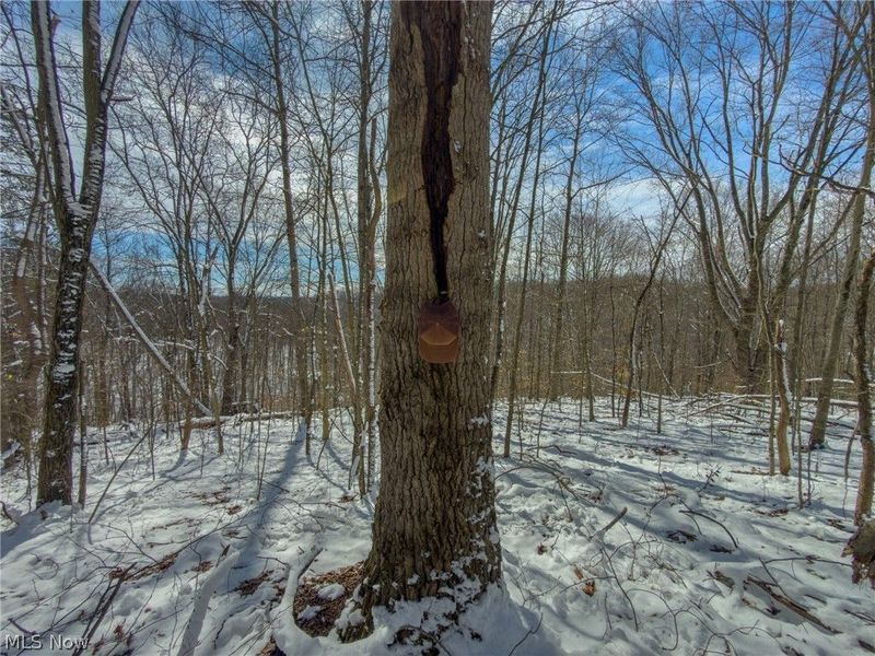 0 Twp Rd 366, Marietta, OH 45773 Photo 23