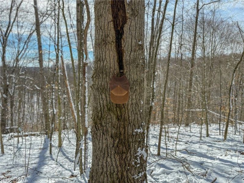 0 Twp Rd 366, Marietta, OH 45773 Photo 24