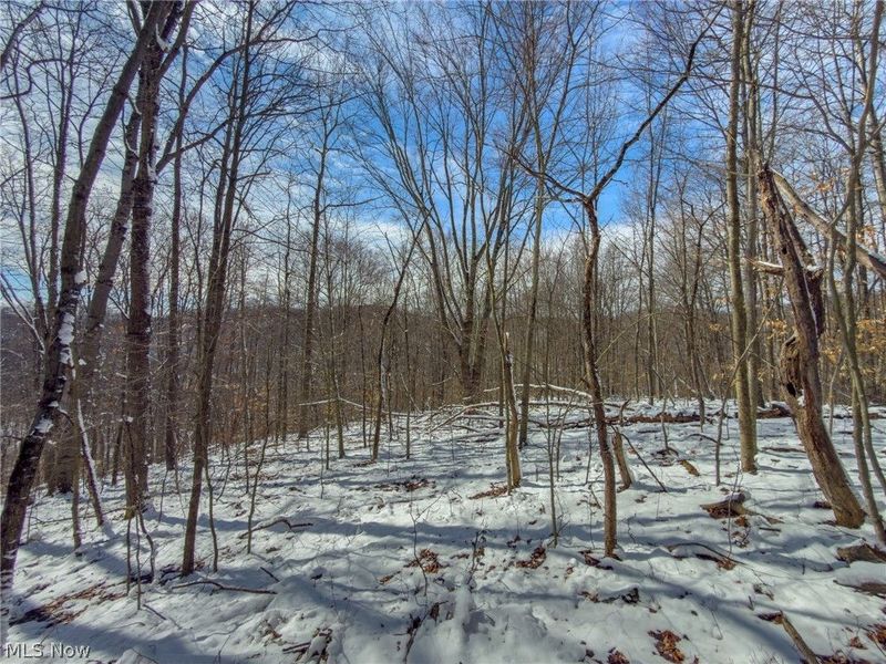 0 Twp Rd 366, Marietta, OH 45773 Photo 25