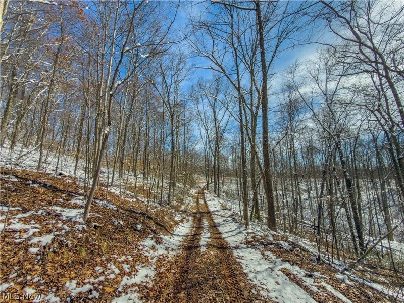 0 Twp Rd 366, Marietta, OH 45773 Photo 26