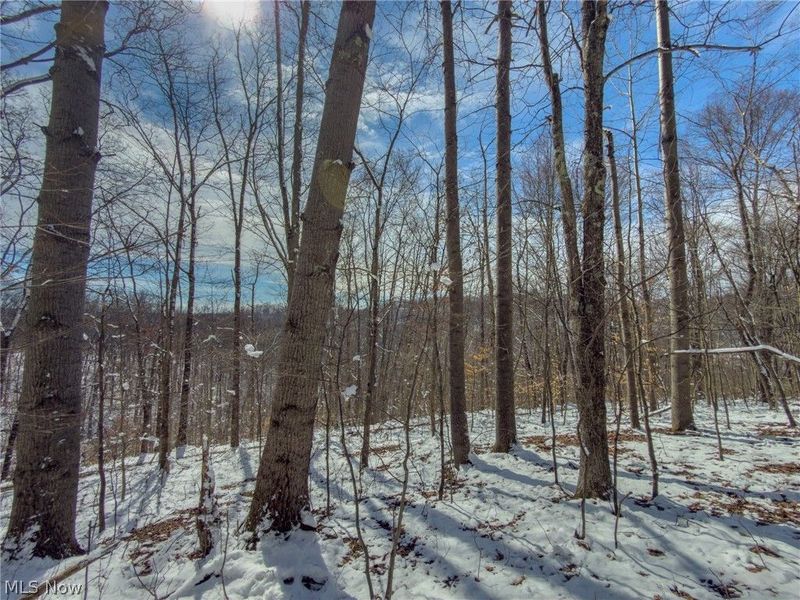 0 Twp Rd 366, Marietta, OH 45773 Photo 27