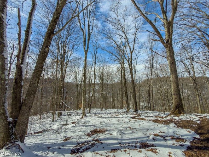 0 Twp Rd 366, Marietta, OH 45773 Photo 28