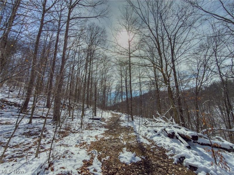 0 Twp Rd 366, Marietta, OH 45773 Photo 29