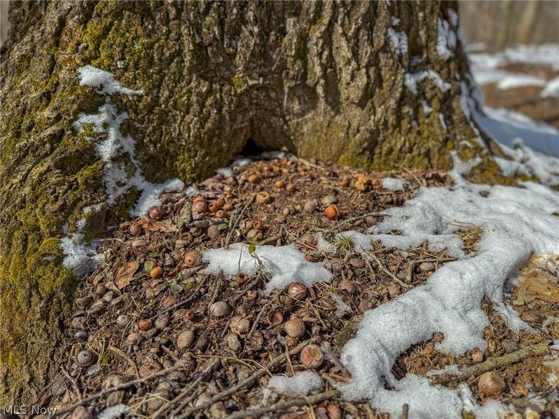 0 Twp Rd 366, Marietta, OH 45773 Photo 31