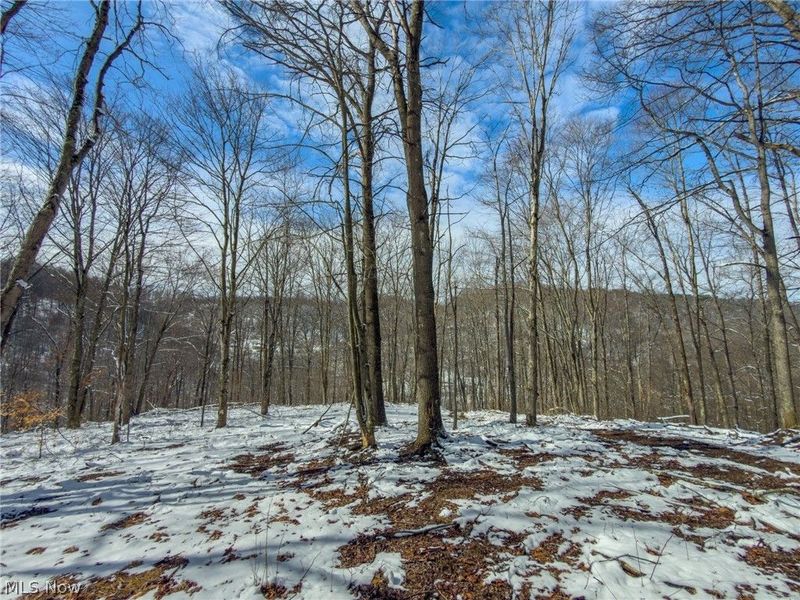 0 Twp Rd 366, Marietta, OH 45773 Photo 32