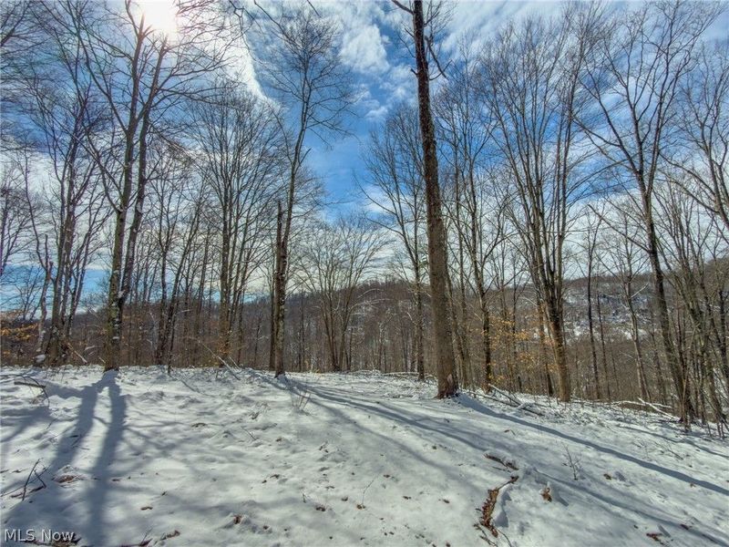 0 Twp Rd 366, Marietta, OH 45773 Photo 33