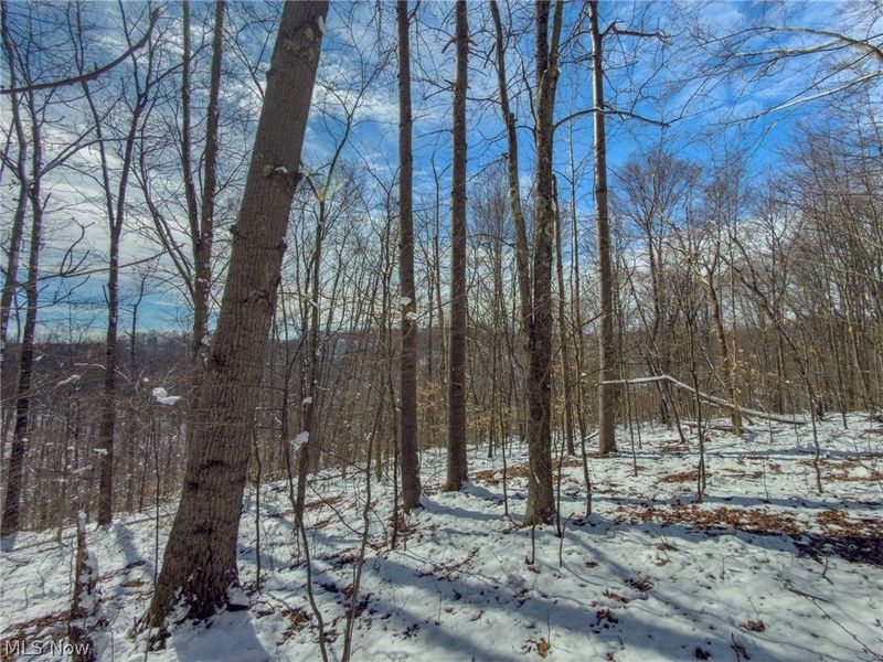 0 Twp Rd 366, Marietta, OH 45773 Photo 34