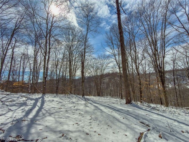 0 Twp Rd 366, Marietta, OH 45773 Photo 35