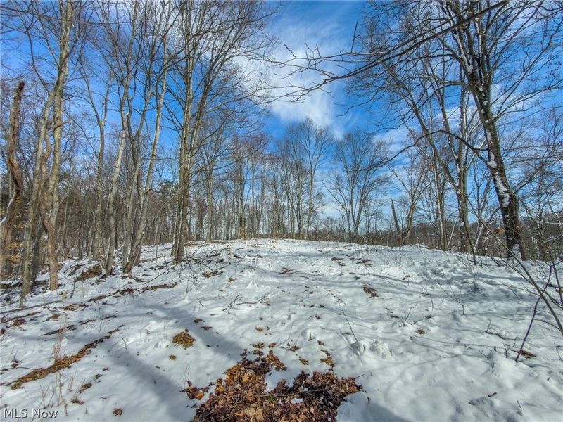 0 Twp Rd 366, Marietta, OH 45773 Photo 36