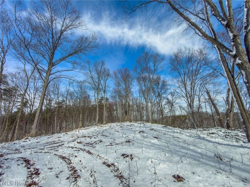 0 Twp Rd 366, Marietta, OH 45773 Photo 38