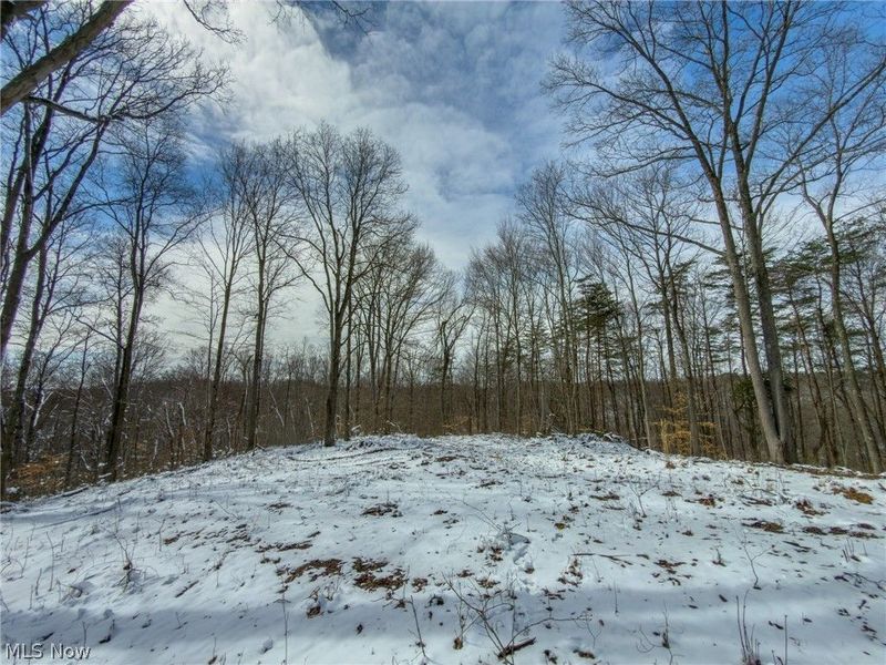 0 Twp Rd 366, Marietta, OH 45773 Photo 39