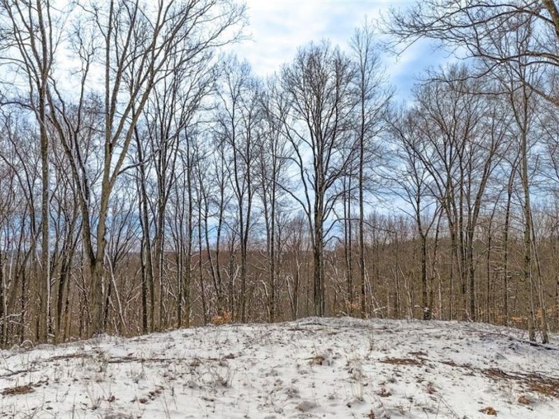 0 Twp Rd 366, Marietta, OH 45773 Photo 40